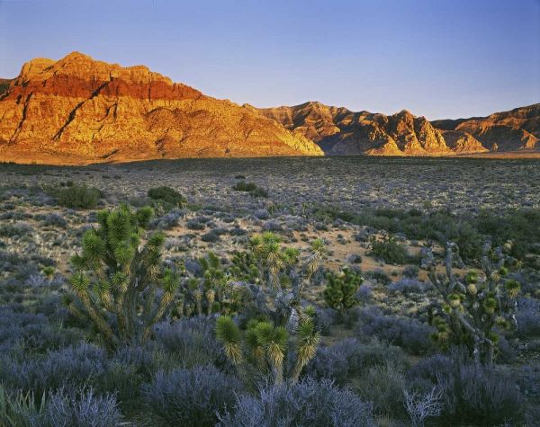 Nevada, Red Rock Canyon Sunset on hills